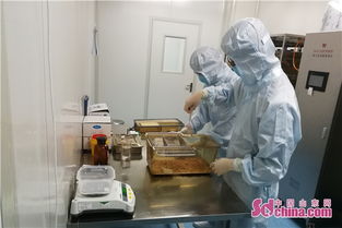 烟台市实现生物制品检验能力 零 的突破